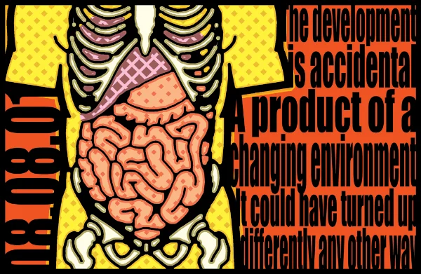 Digestive system of society